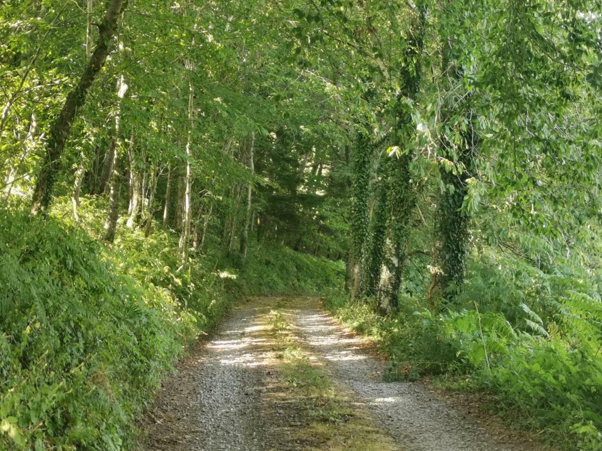 Domaine Lvd Avec Spa, Bois Et Riviere Privee La Bloutiere Eksteriør billede
