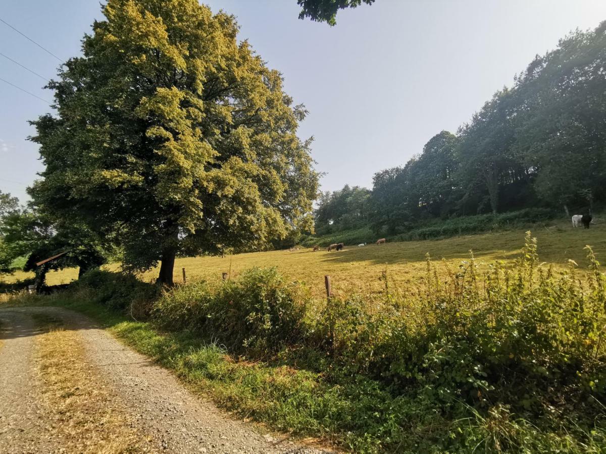 Domaine Lvd Avec Spa, Bois Et Riviere Privee La Bloutiere Eksteriør billede