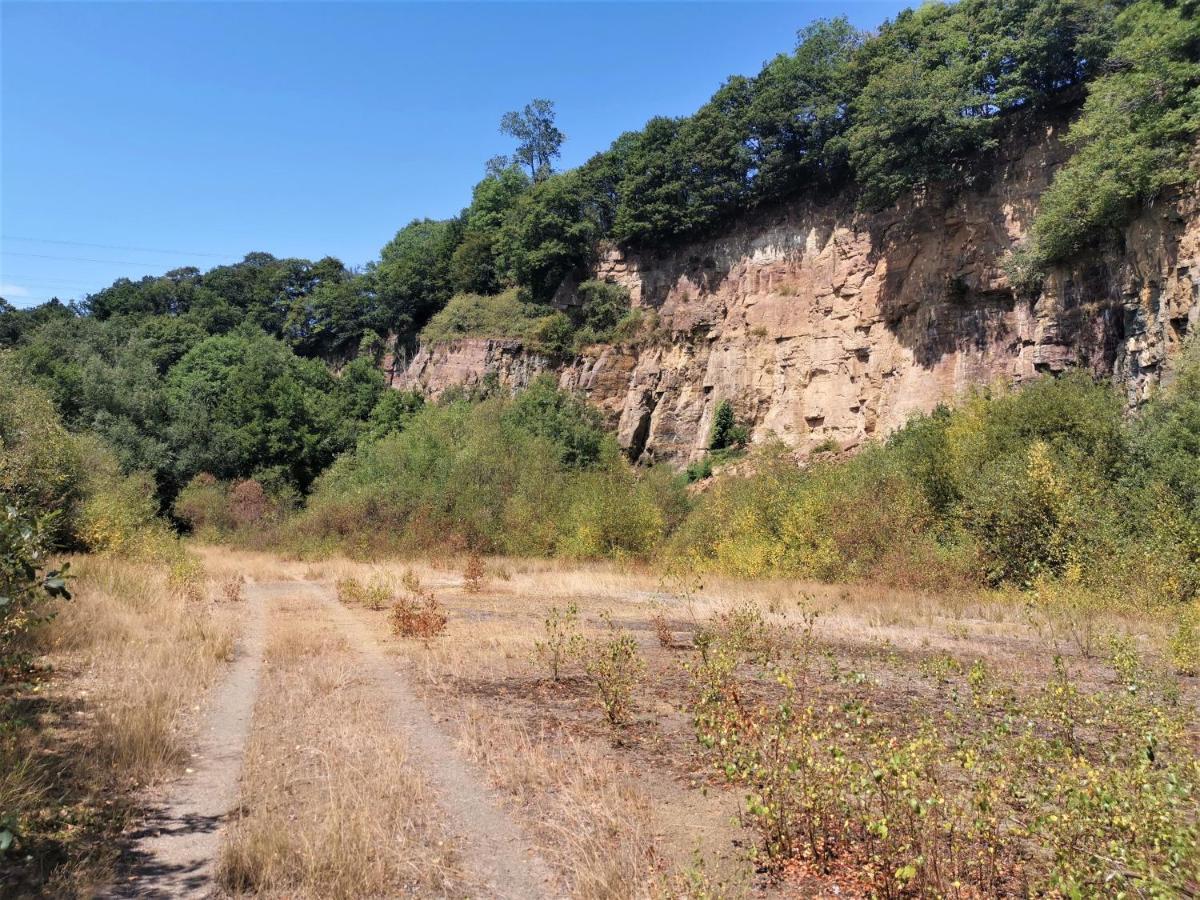 Domaine Lvd Avec Spa, Bois Et Riviere Privee La Bloutiere Eksteriør billede