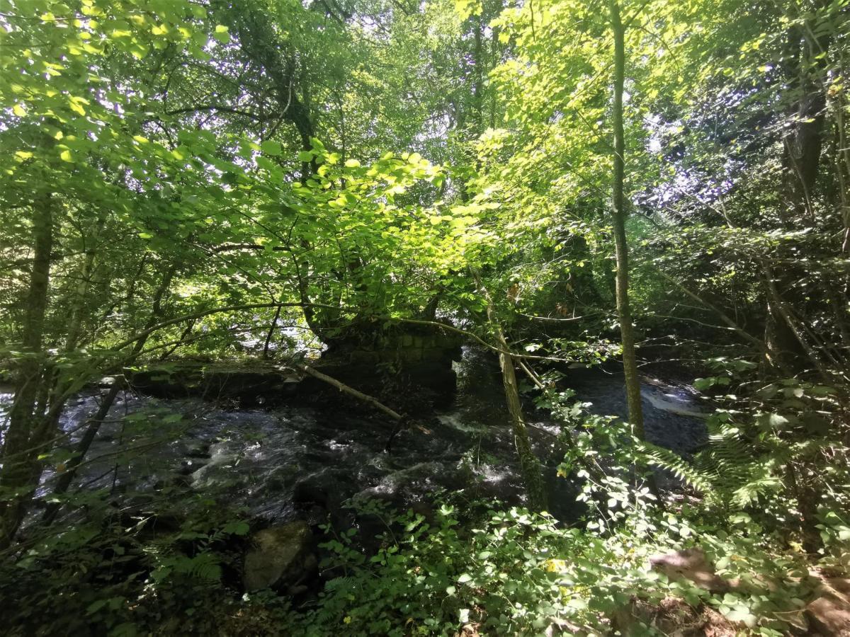 Domaine Lvd Avec Spa, Bois Et Riviere Privee La Bloutiere Eksteriør billede